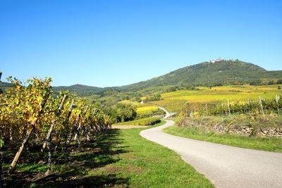 Road amidst landscape against clear blue sky