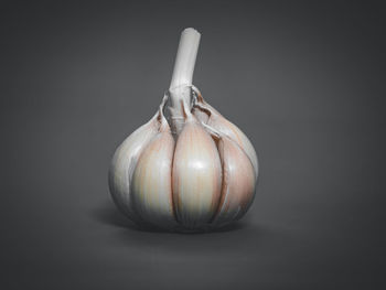 Close-up of onion