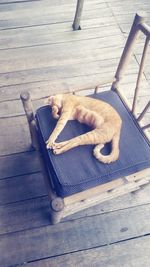 High angle view of dog sleeping on floor