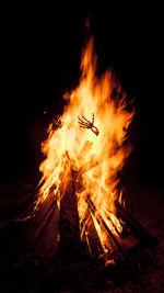 Close-up of skeleton bonfire at night