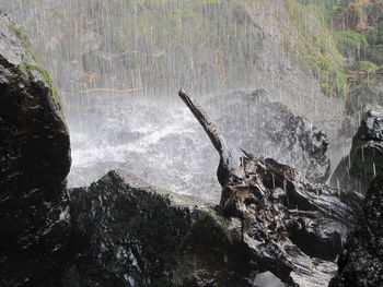 Scenic view of waterfall