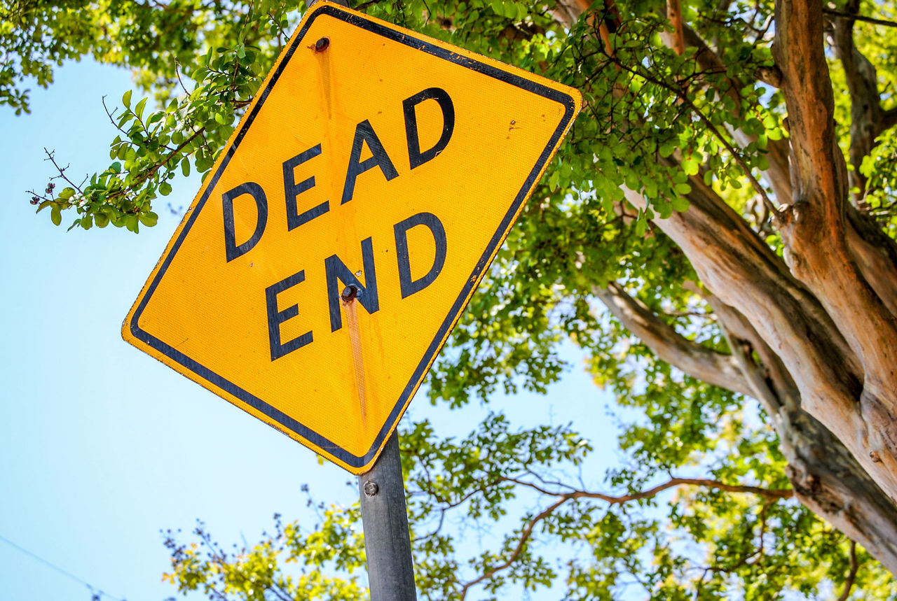 CLOSE-UP OF ROAD SIGN AGAINST TREES