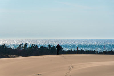 Rear view of man standing on beach against sky