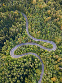 High angle view of road amidst trees in forest