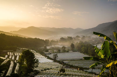 Scenic view of agricultural landscape against sky