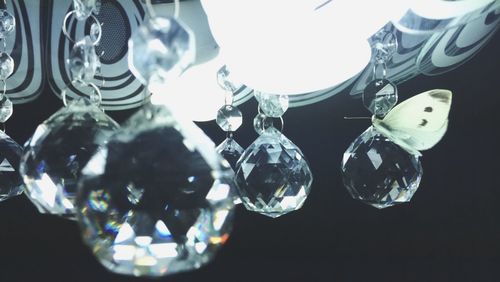 Close-up of light bulb hanging against black background