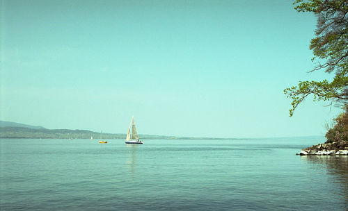 Sailboat sailing on leman lake against clear sky