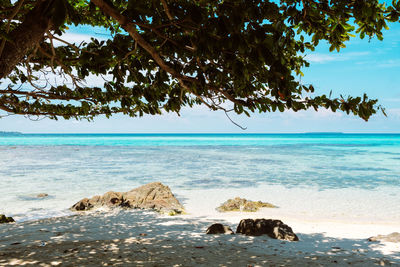 Scenic view of sea against sky