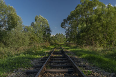 Railroad tracks amidst trees against clear sky