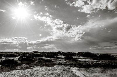 Scenic view of sun shining on sunny day