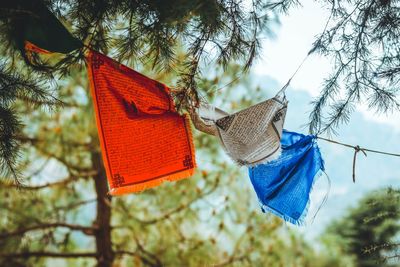 Low angle view of flags hanging on tree against sky