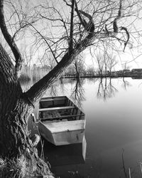 Reflection of bare trees in lake