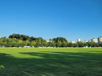 Scenic view of field against clear blue sky