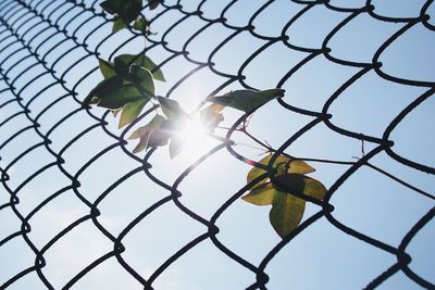 Full frame shot of chainlink fence