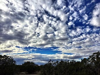 Low angle view of trees against cloudy sky