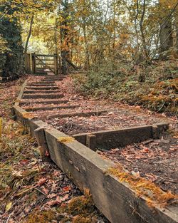 Sunlight falling in park during autumn