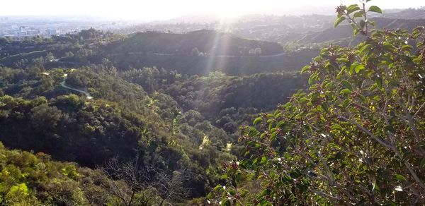 Scenic view of tree mountains against sky