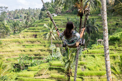 Rear view of woman on swing against terraced field