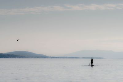 Silhouette man on paddleboard in sea against sky 