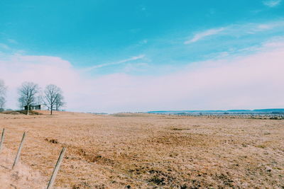 Scenic view of field against sky