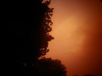 Low angle view of silhouette tree against orange sky