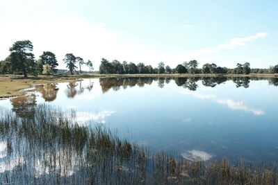 Reflection of trees in lake against sky