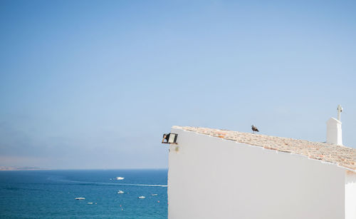 Seagulls by sea against clear sky