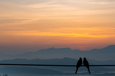 Rear view of silhouette woman standing on mountain against sky during sunset