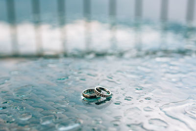 Close-up of wedding rings