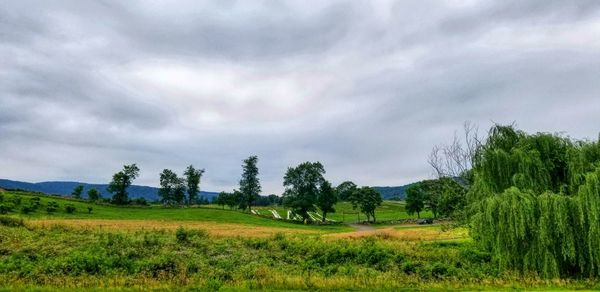 Trees on field against sky