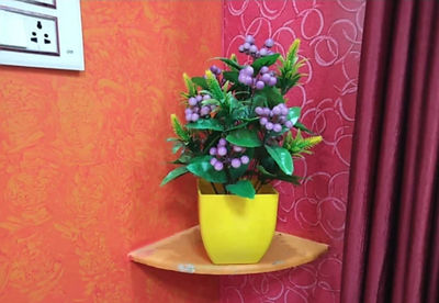 Close-up of potted plant at home