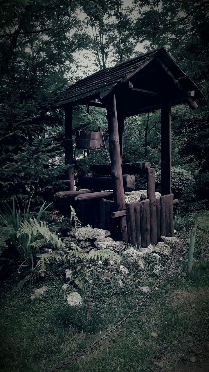 tree, wood - material, chair, abandoned, absence, built structure, empty, bench, sunlight, grass, day, growth, tranquility, old, field, nature, plant, architecture, tree trunk, no people