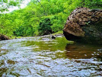 River flowing through rocks in forest