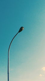 Low angle view of tree against clear sky