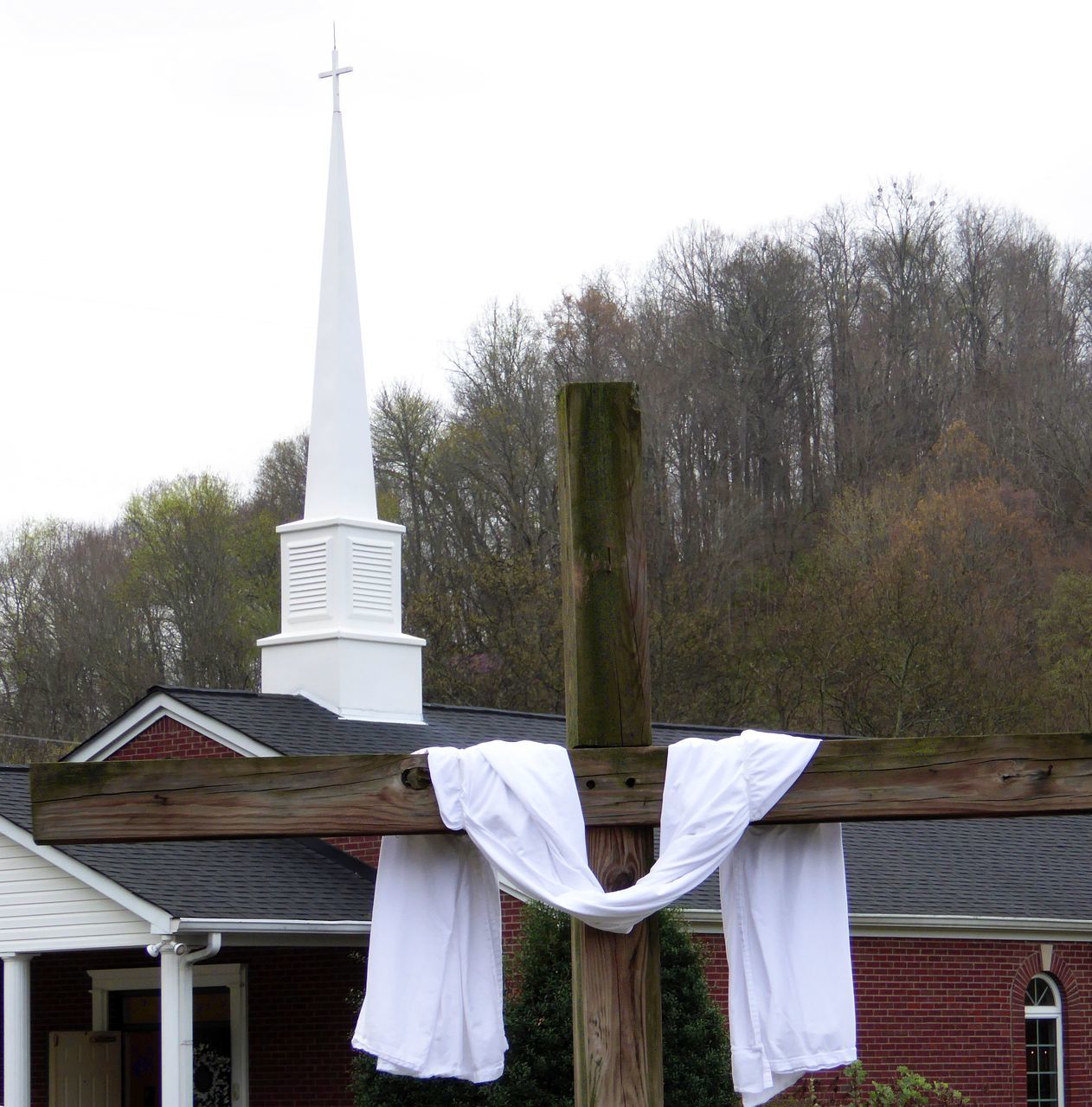 CROSS AGAINST TREES