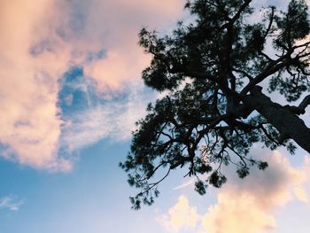 Low angle view of silhouette trees against sky at sunset