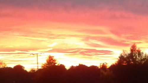 Silhouette trees against dramatic sky during sunset