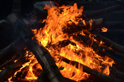 Close-up of burning firewood