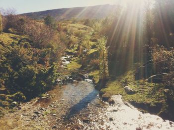 Sun shining over stream