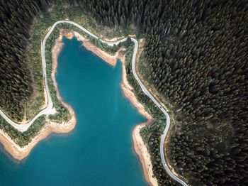 Aerial view of lake and trees