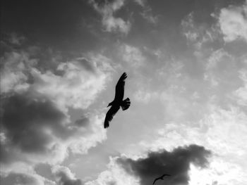 Low angle view of silhouette bird flying against sky