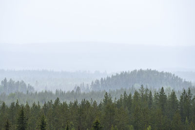 Trees on landscape against sky