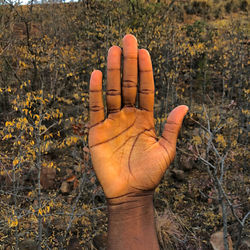 Close-up of person hand on field