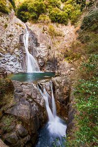 Scenic view of waterfall in forest