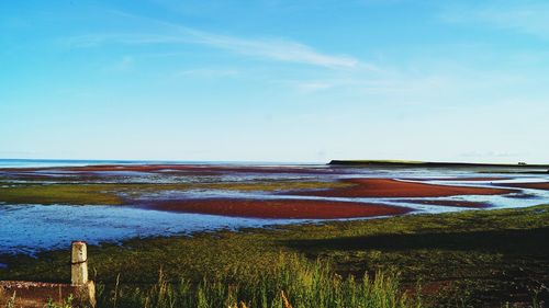 Scenic view of sea against blue sky