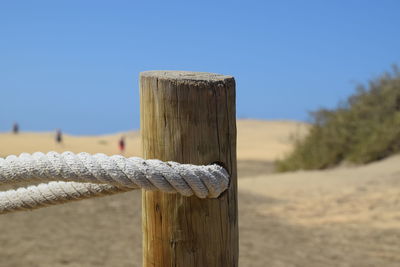 Close-up of wooden post on fence against clear sky