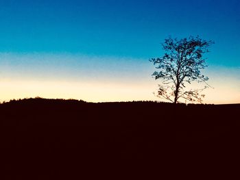 Silhouette trees against clear sky during sunset