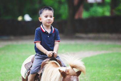 Cute boy sitting on pony