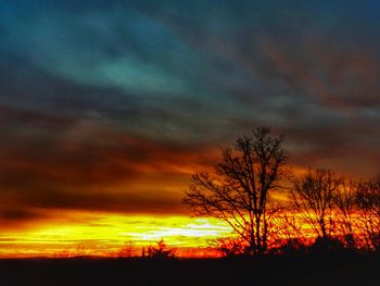 Silhouette of trees at sunset
