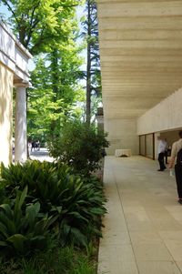 Woman walking on footpath